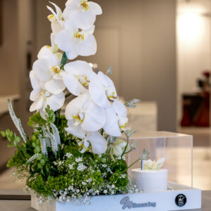 White Orchid Cake Delight